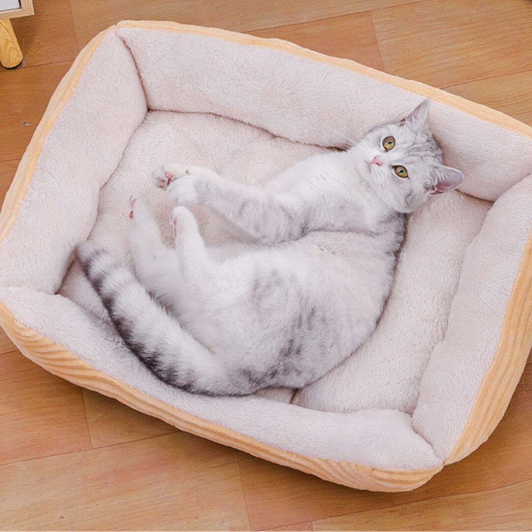 PANIER POUR CHAT | Canapé Lit Pacha™ - opaschats