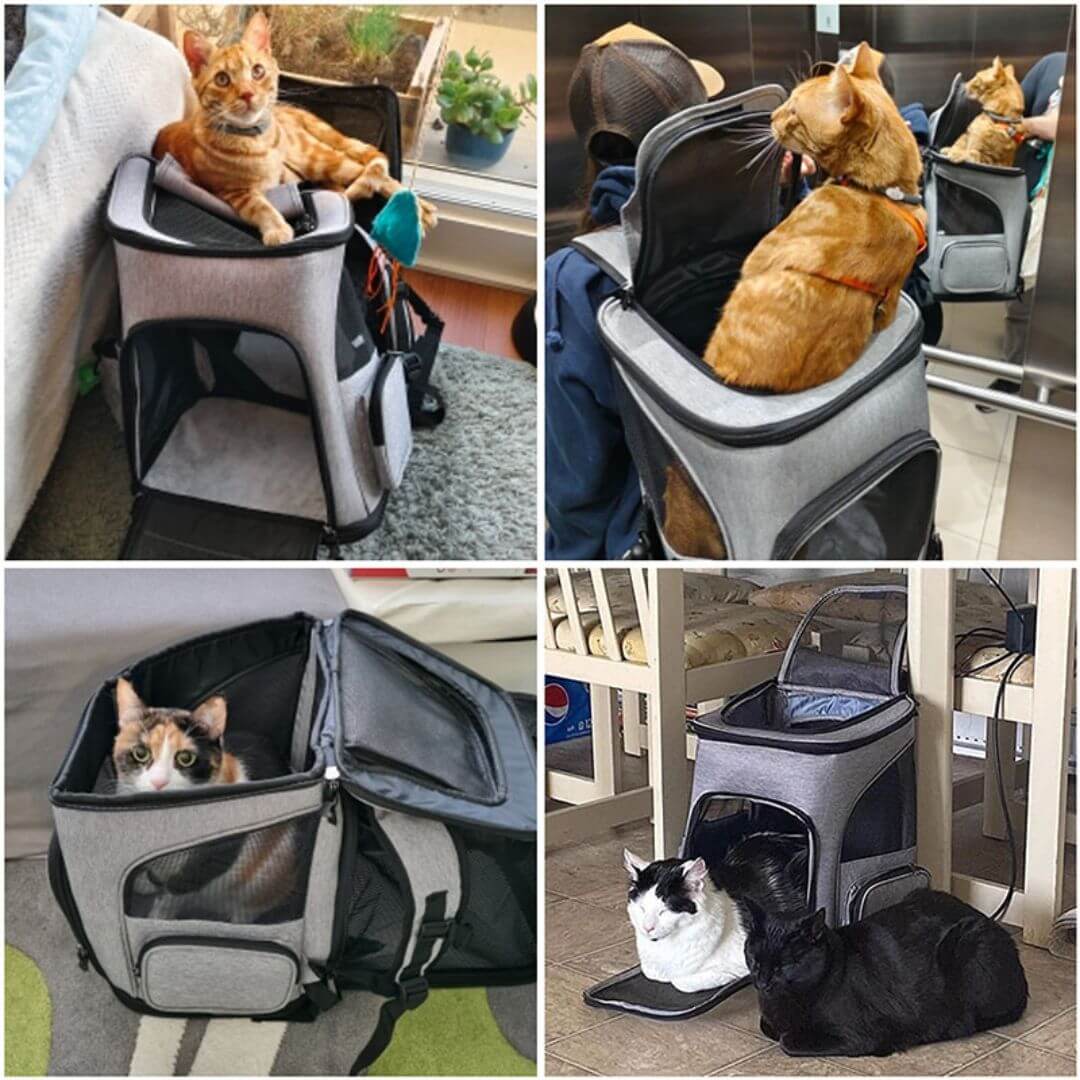 Purrfect purr™ - Sac transport chat - opaschats