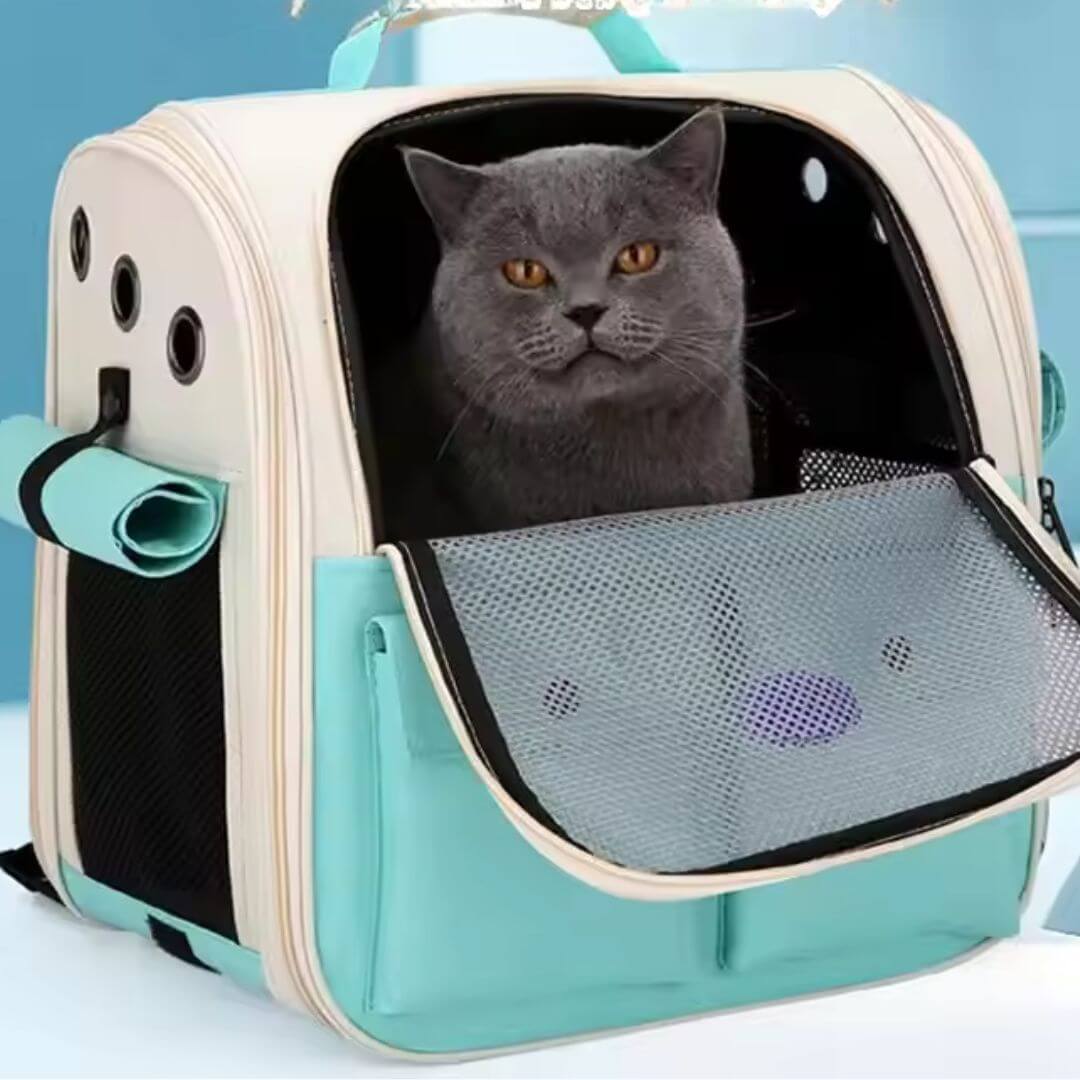 sac à dos pour chat | exploration - opaschats
