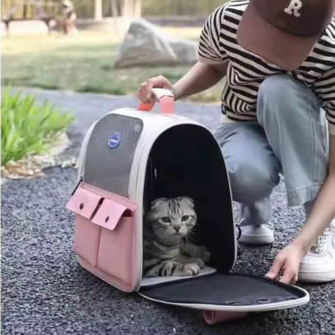 sac à dos pour chat | exploration - opaschats