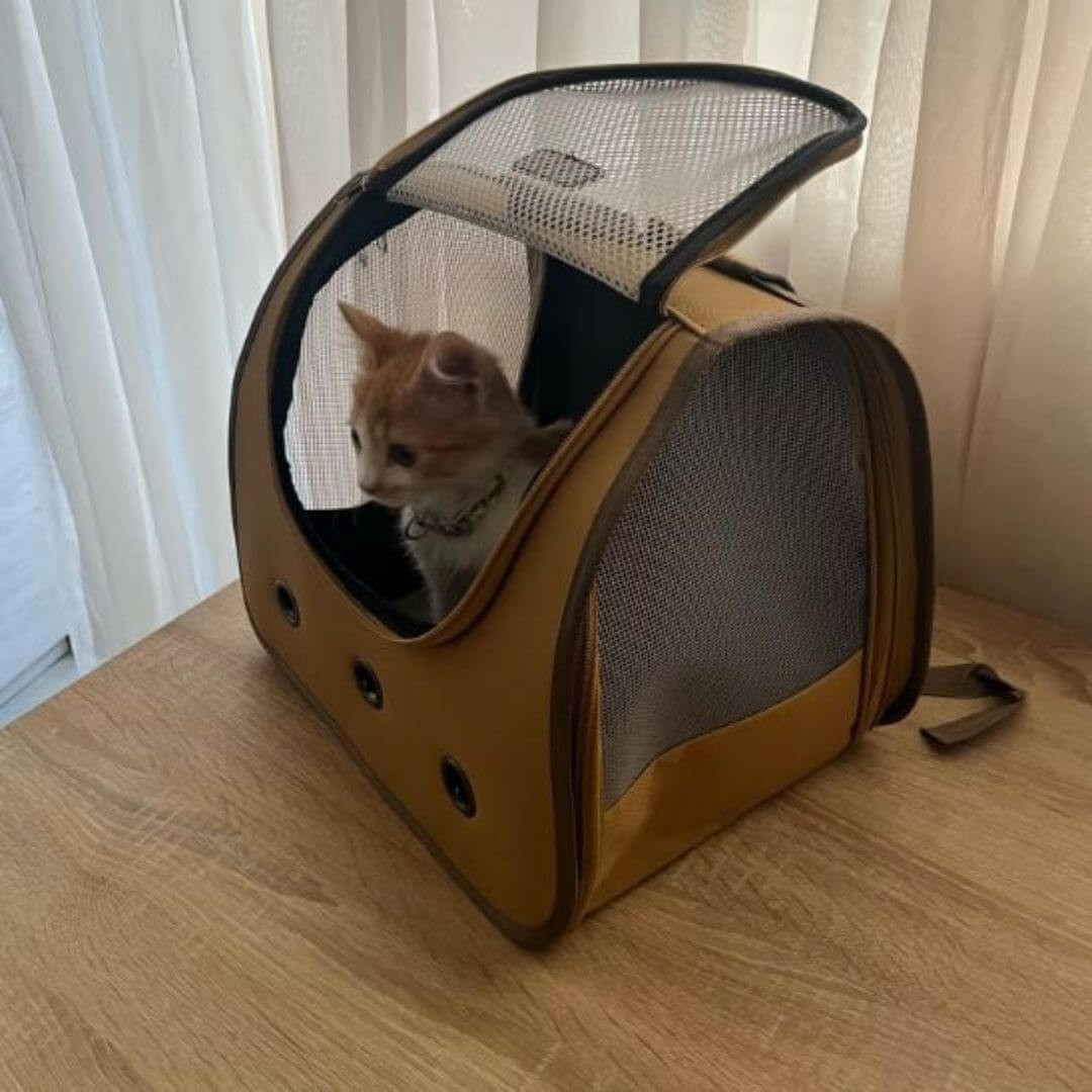 sac à dos pour chat | portable - opaschats