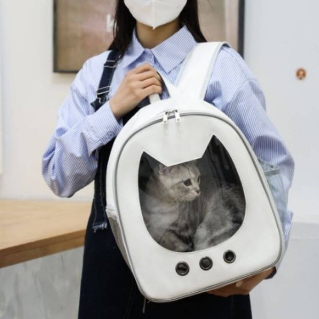 sac de transport chat | incontournable - opaschats