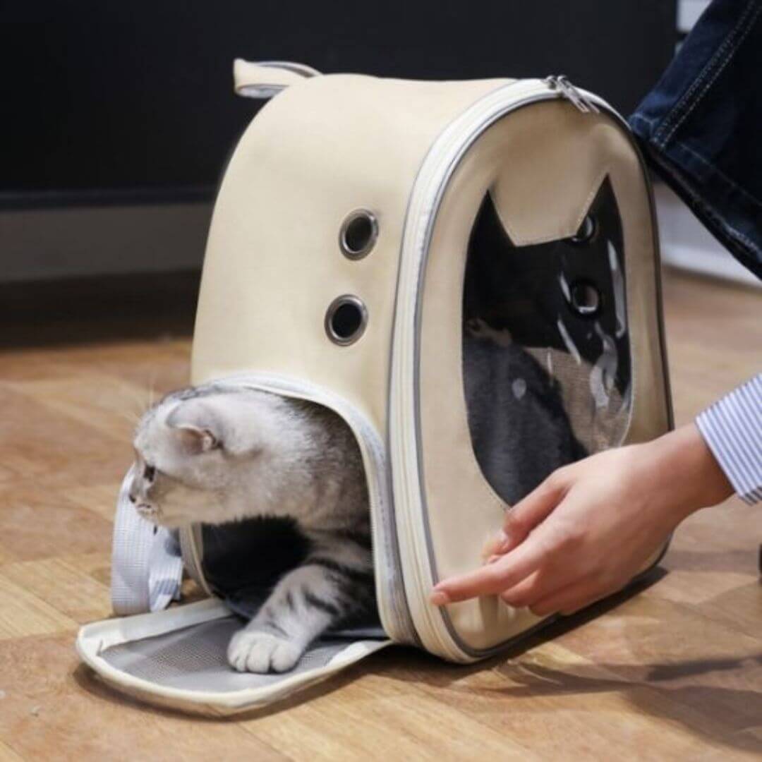 sac de transport chat | incontournable - opaschats