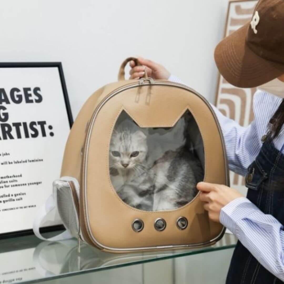 sac de transport chat | incontournable - opaschats