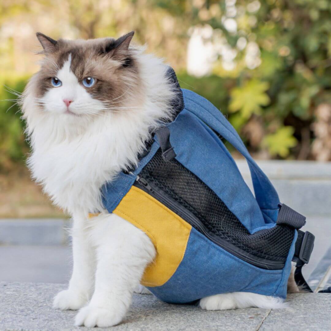 sac de transport chat | sac transport chat - opaschats