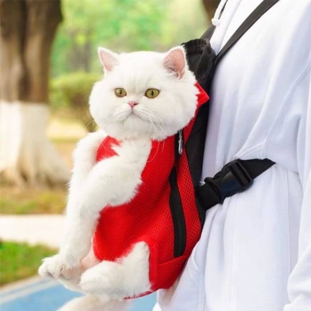 sac transport chat | sac kangourou - opaschats