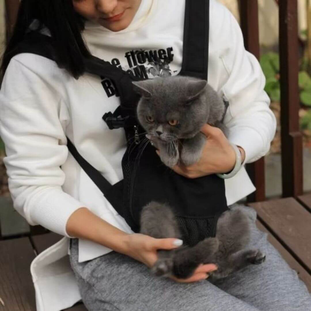 sac transport chat | sac kangourou - opaschats