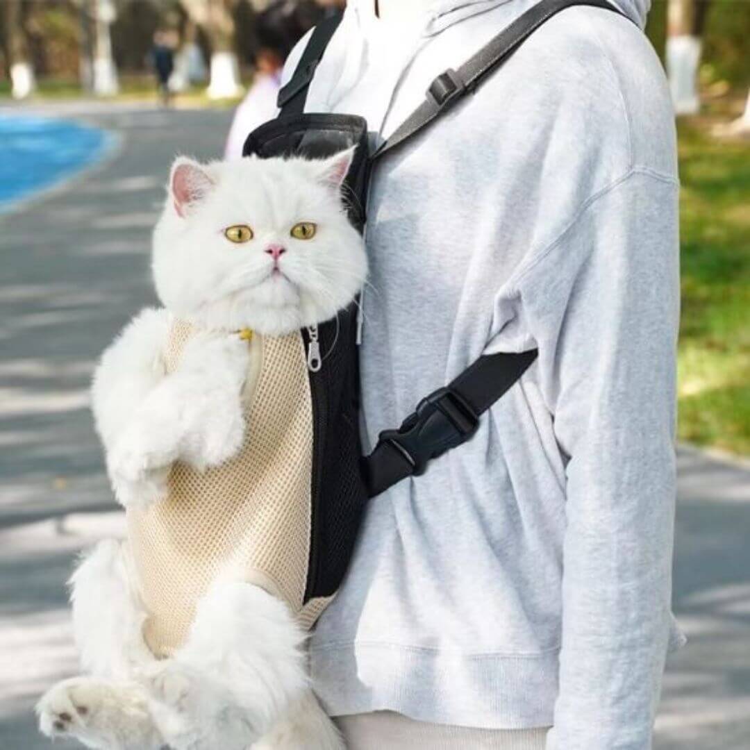 sac transport chat | sac kangourou - opaschats