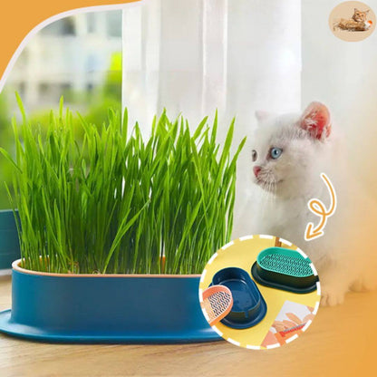 boite herbe à chat - jardinière herbe à chat™ - Opaschats