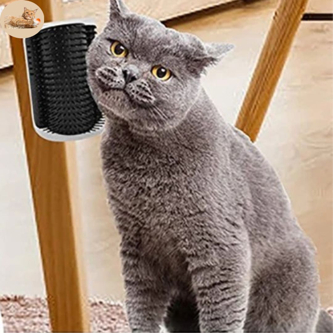 brosse anti poil - anti hair brush™ - Opaschats