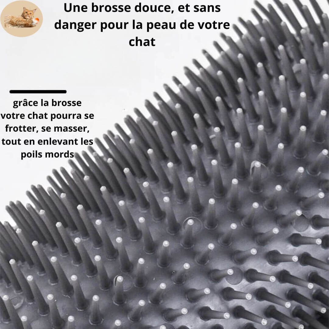 brosse anti poil - anti hair brush™ - Opaschats