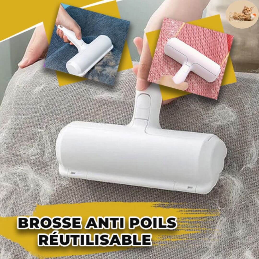 brosse anti poil chat - quick brush™ - Opaschats