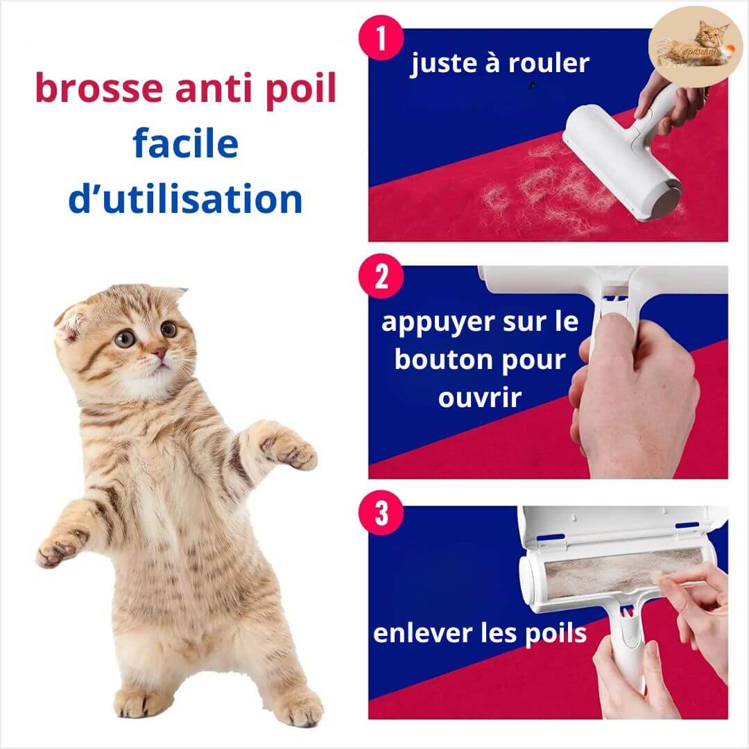 brosse anti poil chat - quick brush™ - Opaschats