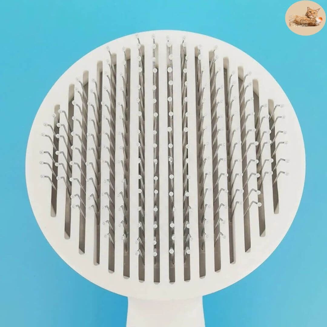 brosse anti poilL | anti-hair brush™ - Opaschats