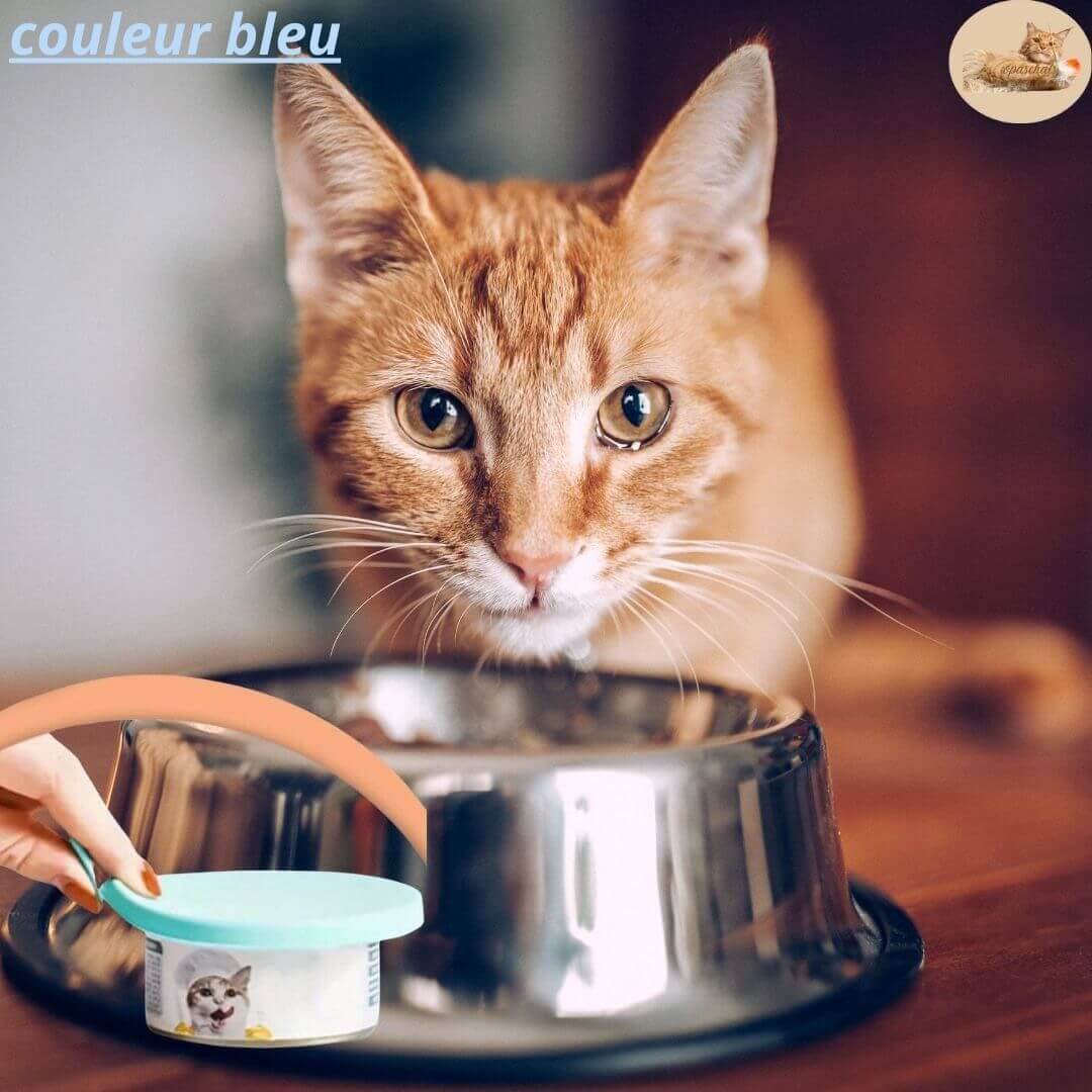 couvercle conservation - cat pate™ - Opaschats