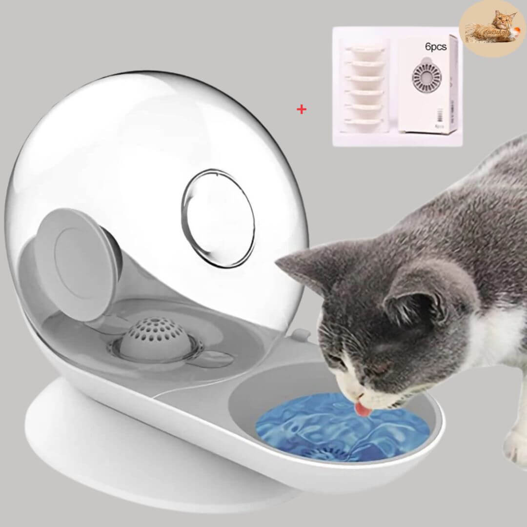 distributeur d'eau pour chat - for better hydration™ - Opaschats