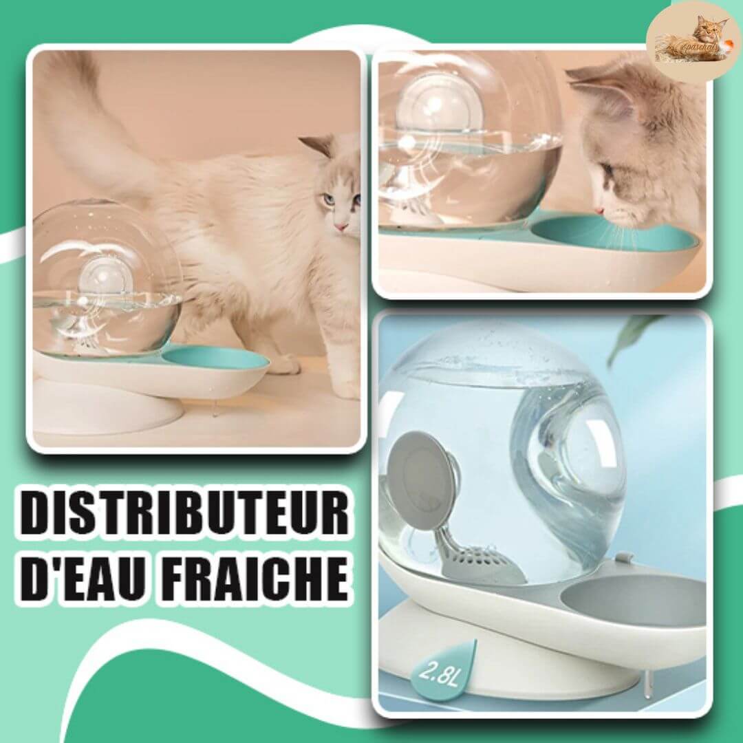 distributeur d'eau pour chat - for better hydration™ - Opaschats