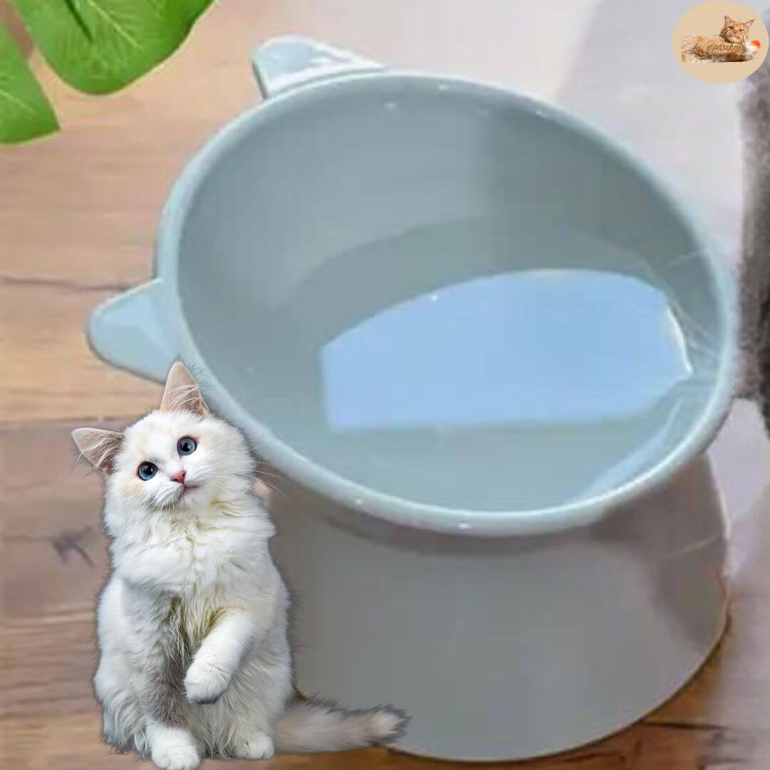 gamelle anti glouton - transforms your cat's meal™ - Opaschats