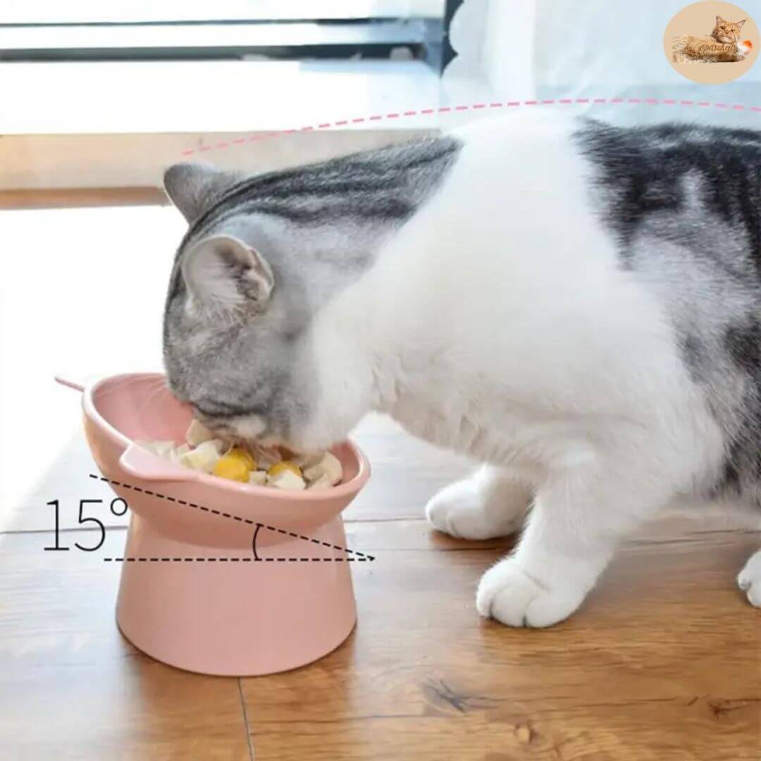 gamelle anti glouton - transforms your cat's meal™ - Opaschats