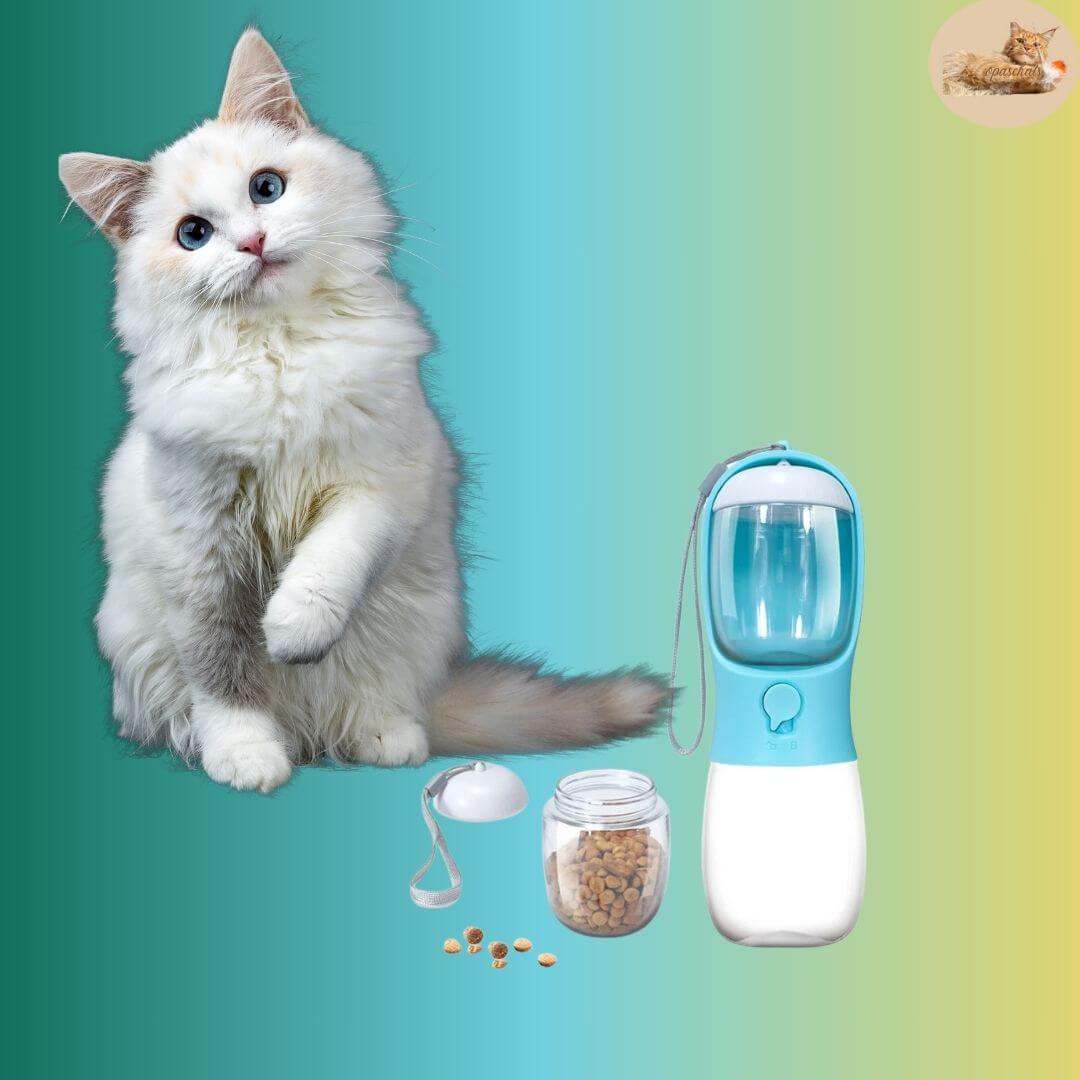 gourde chat 2 en 1 - 2 in 1 transportable water bottle™ - Opaschats