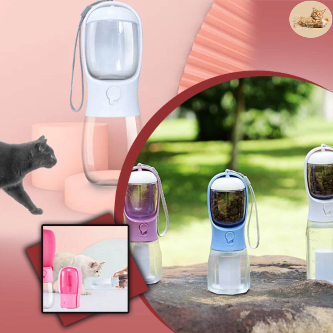 gourde chat 2 en 1 - 2 in 1 transportable water bottle™ - Opaschats