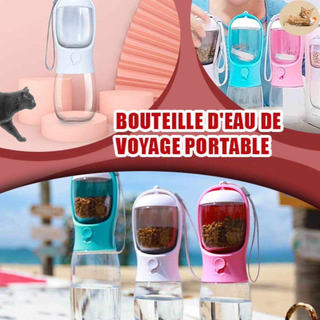 gourde chat 2 en 1 - 2 in 1 transportable water bottle™ - Opaschats