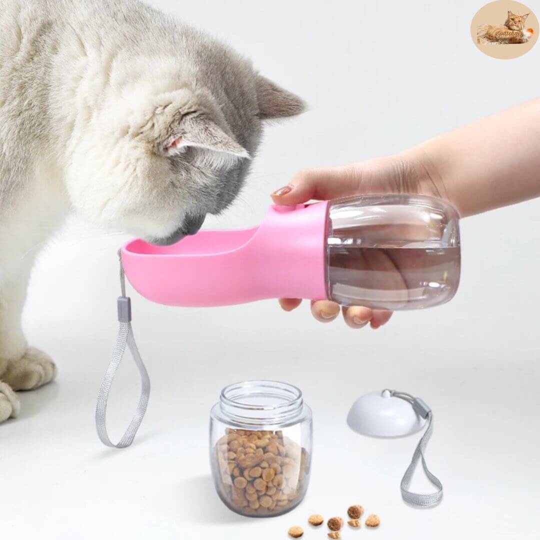 gourde chat 2 en 1 - 2 in 1 transportable water bottle™ - Opaschats