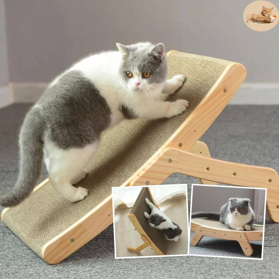 griffoir | scratching post™ - Opaschats