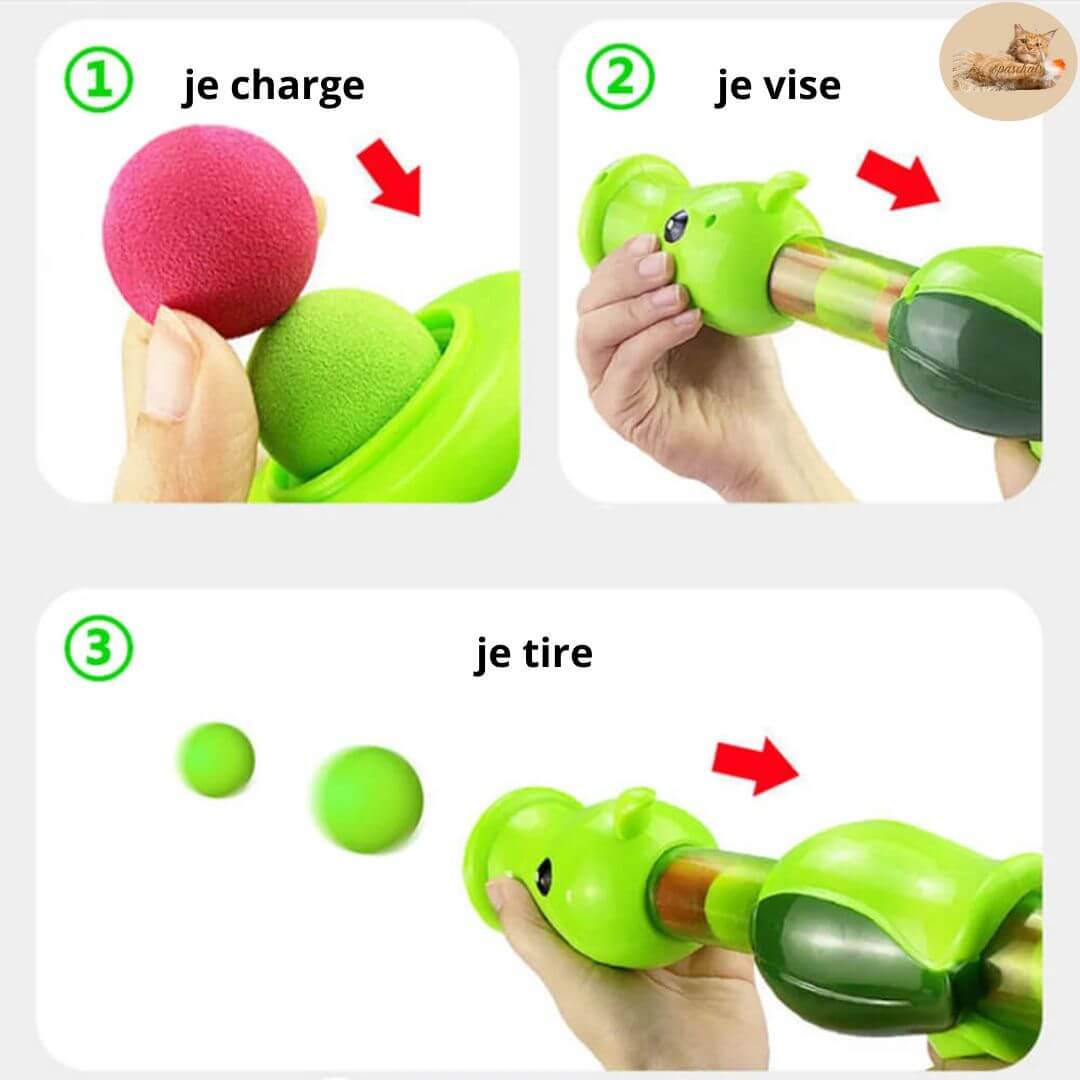 jeu pour chat | cat games gun ball launcher ™ - Opaschats