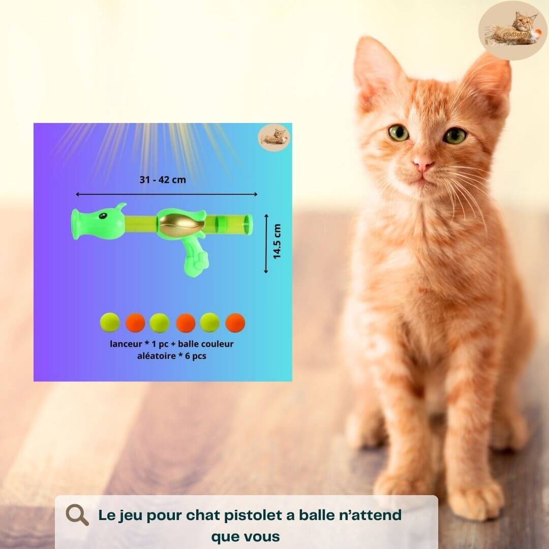 jeu pour chat | cat games gun ball launcher ™ - Opaschats