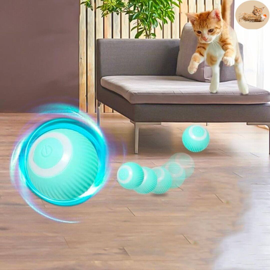 jeu pour chat | interactive ball™ - Opaschats