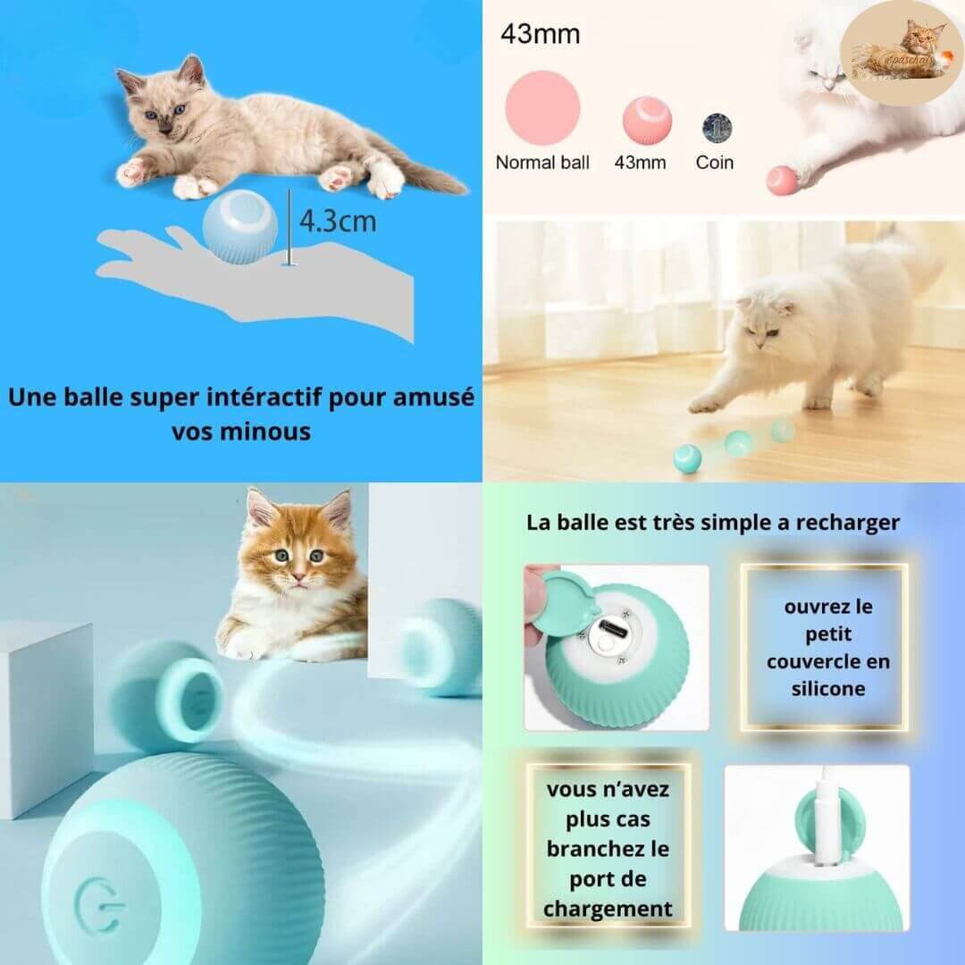 jeu pour chat | interactive ball™ - Opaschats