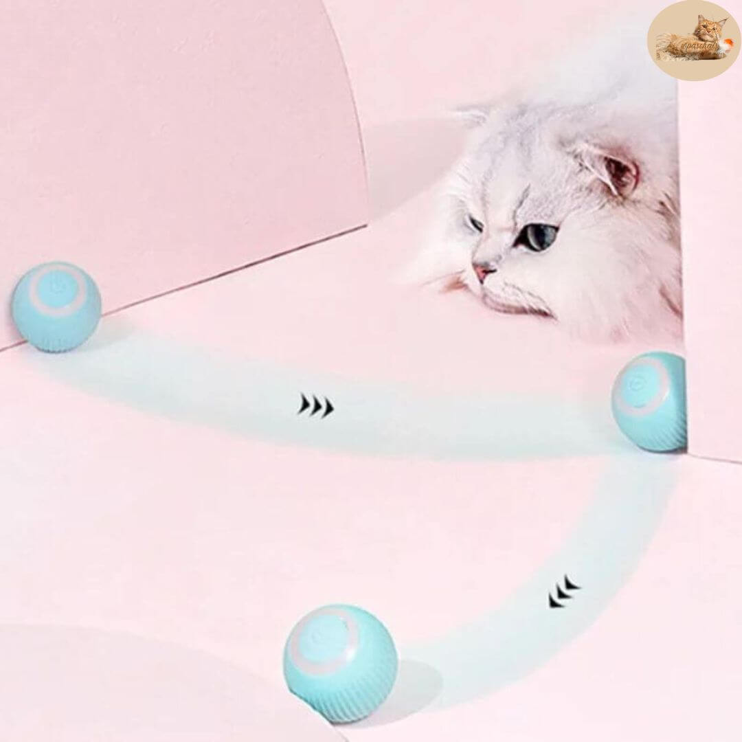 jeu pour chat | interactive ball™ - Opaschats