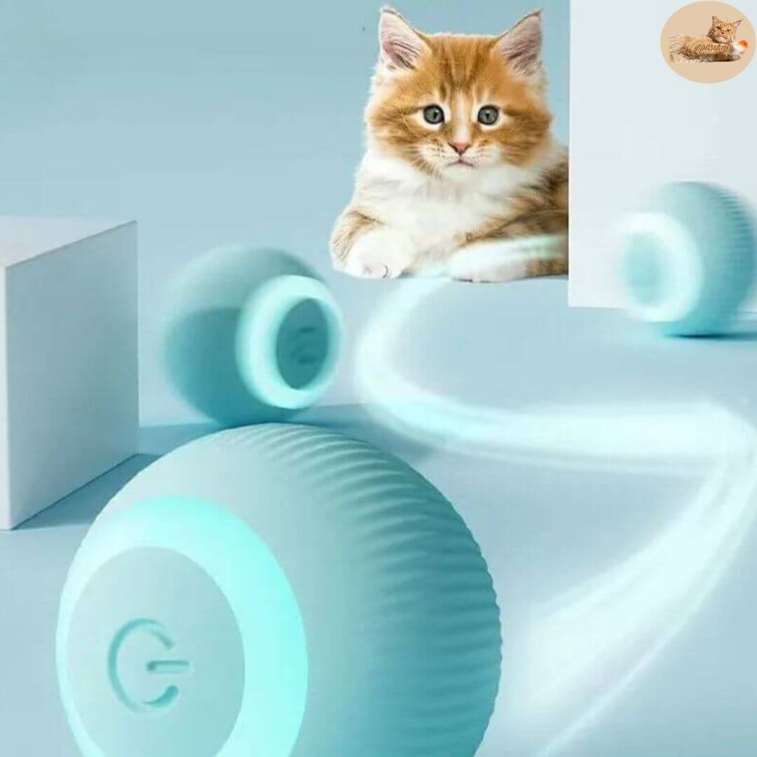 jeu pour chat | interactive ball™ - Opaschats