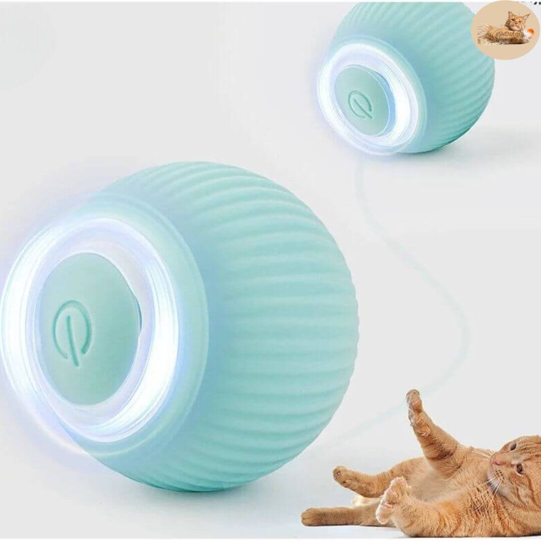 jeu pour chat | interactive ball™ - Opaschats