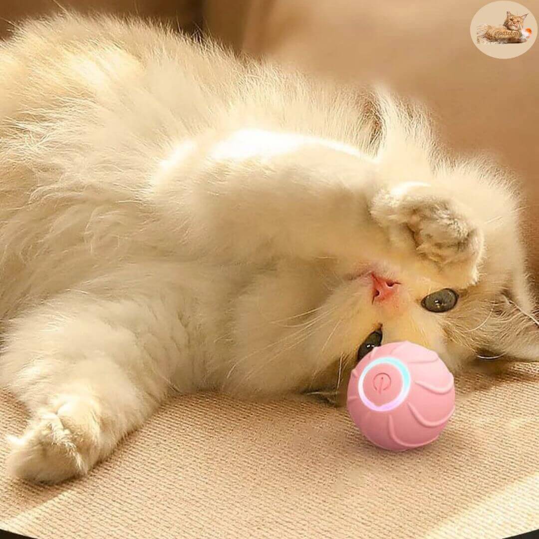 jeu pour chat | interactive ball™ - Opaschats