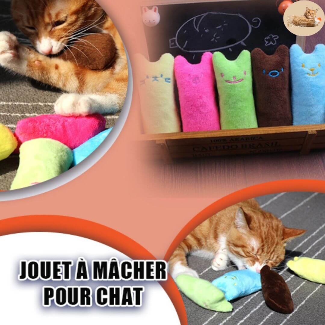 jouet peluche chat - game eat me™ - Opaschats