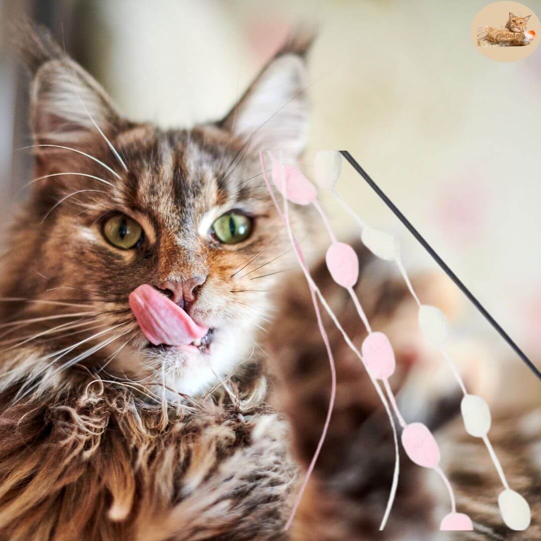 jouet-pour-chat - pompom wand™ - Opaschats