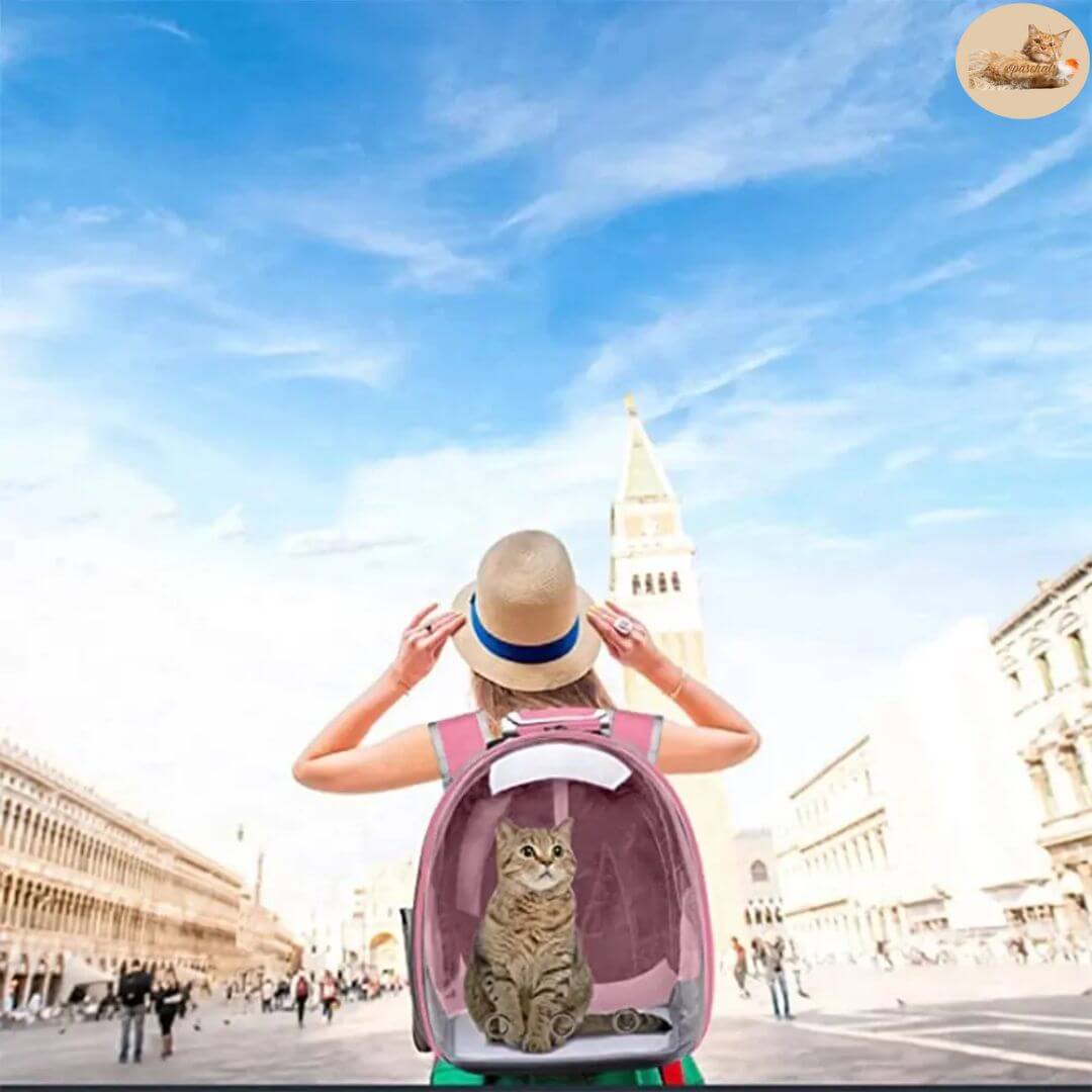 sac transport chat | Cat Bag™ - Opaschats