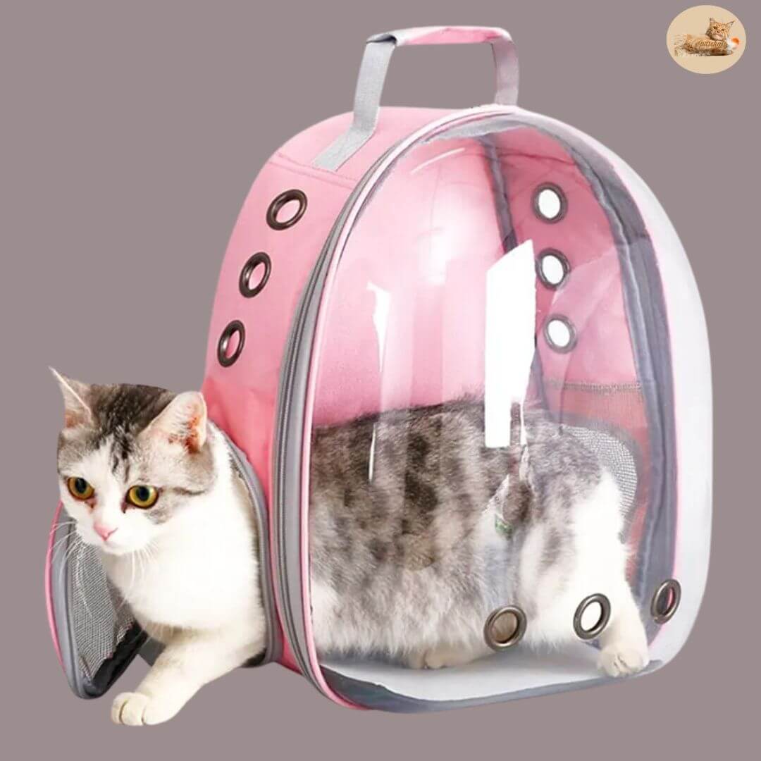 sac transport chat | Cat Bag™ - Opaschats